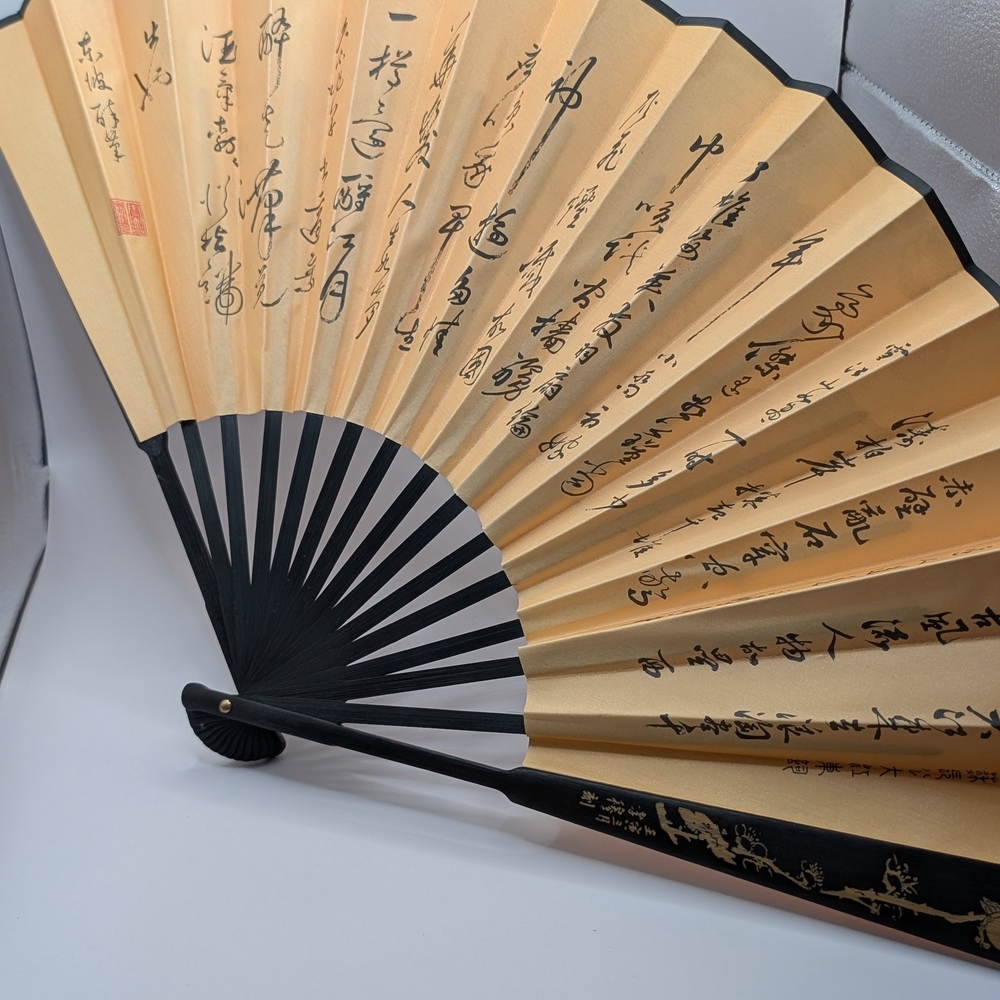 Elegant Black And Beige Hand Fan